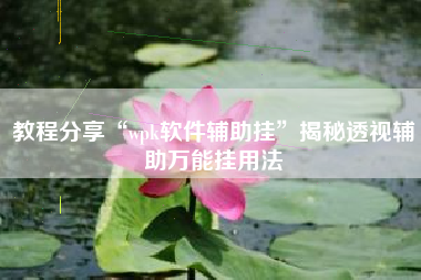教程分享“wpk软件辅助挂”揭秘透视辅助万能挂用法