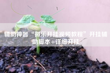 辅助神器“微乐开挂视频教程”开挂辅助脚本+详细开挂