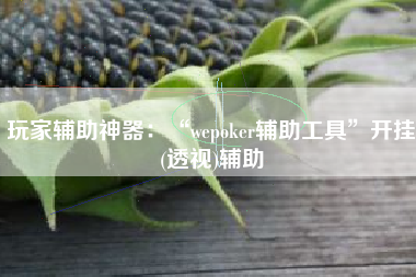 玩家辅助神器：“wepoker辅助工具	”开挂(透视)辅助
