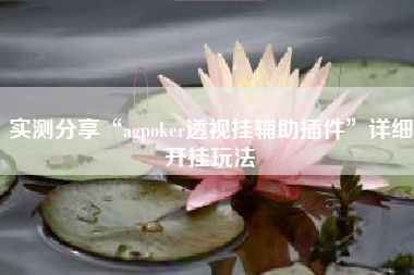 实测分享“agpoker透视挂辅助插件	”详细开挂玩法