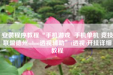 安装程序教程“手机游戏  手机单机 竞技联盟德州sohoo透视辅助”(透视)开挂详细教程