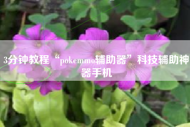 3分钟教程“pokemmo辅助器”科技辅助神器手机