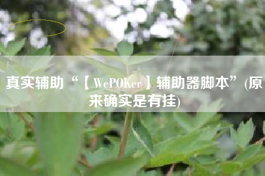 真实辅助“【WePOKer】辅助器脚本	”(原来确实是有挂)