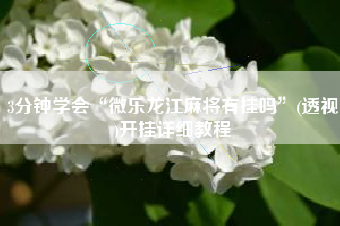 3分钟学会“微乐龙江麻将有挂吗”(透视)开挂详细教程