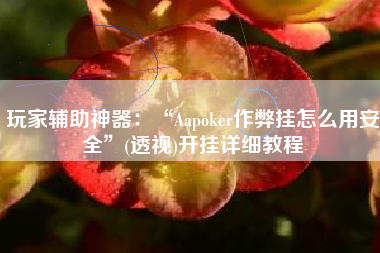 玩家辅助神器：“Aapoker作弊挂怎么用安全”(透视)开挂详细教程