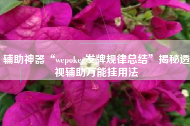 辅助神器“wepoker发牌规律总结”揭秘透视辅助万能挂用法