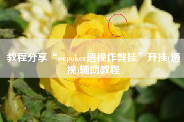 教程分享“wepoker透视作弊挂	”开挂(透视)辅助教程