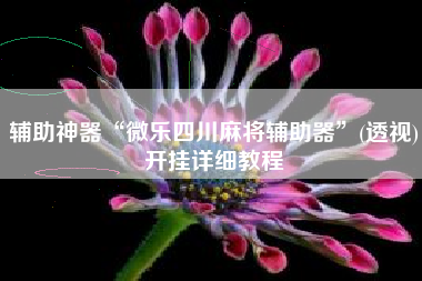 辅助神器“微乐四川麻将辅助器”(透视)开挂详细教程