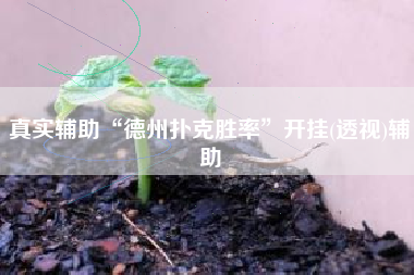 真实辅助“德州扑克胜率”开挂(透视)辅助