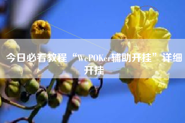 今日必看教程“WePOKer辅助开挂	”详细开挂