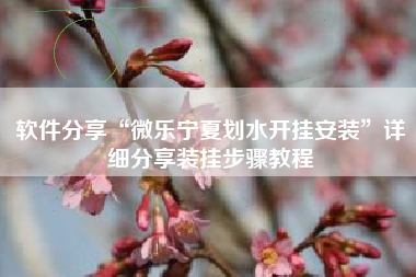 软件分享“微乐宁夏划水开挂安装”详细分享装挂步骤教程