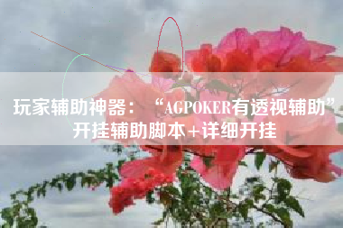 玩家辅助神器：“AGPOKER有透视辅助”开挂辅助脚本+详细开挂