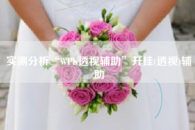 实测分析“WPK透视辅助	”开挂(透视)辅助