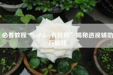 必看教程“wePoker有挂吗”揭秘透视辅助万能挂