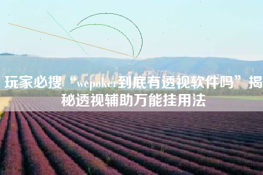 玩家必搜“wepoker到底有透视软件吗”揭秘透视辅助万能挂用法