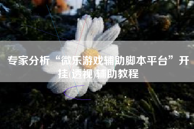 专家分析“微乐游戏辅助脚本平台	”开挂(透视)辅助教程