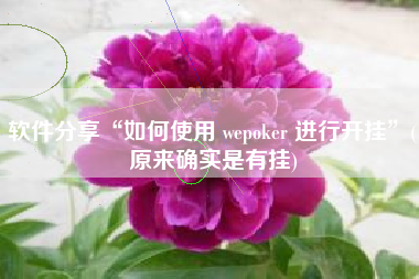 软件分享“如何使用 wepoker 进行开挂”(原来确实是有挂)