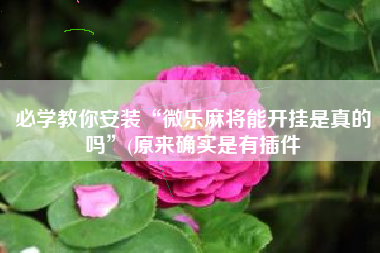 必学教你安装“微乐麻将能开挂是真的吗	”(原来确实是有插件