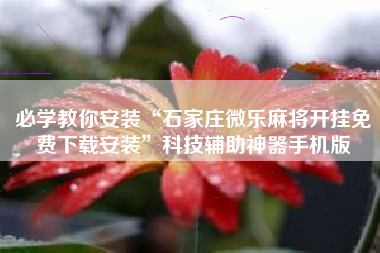 必学教你安装“石家庄微乐麻将开挂免费下载安装”科技辅助神器手机版