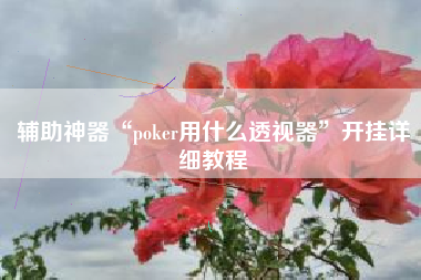辅助神器“poker用什么透视器	”开挂详细教程