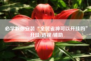 必学教你安装“全民雀神可以开挂吗”开挂(透视)辅助