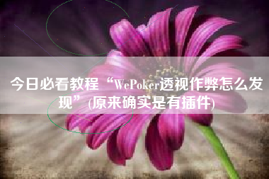 今日必看教程“WePoker透视作弊怎么发现”(原来确实是有插件)