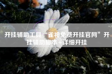开挂辅助工具“雀神免费开挂官网”开挂辅助脚本+详细开挂