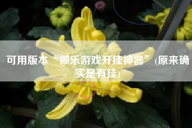 可用版本“微乐游戏开挂神器	”(原来确实是有挂)