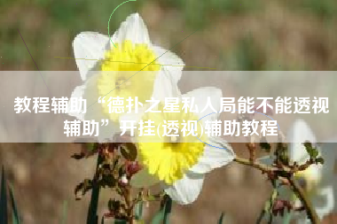 教程辅助“德扑之星私人局能不能透视辅助”开挂(透视)辅助教程