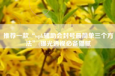 推荐一款“wpk辅助会封号最简单三个方法	”(曝光透视必备猫腻