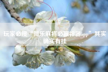 玩家必搜“微乐麻将必赢神器app”其实确实有挂