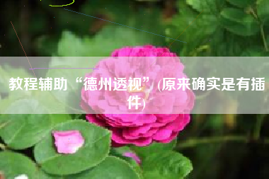 教程辅助“德州透视”(原来确实是有插件)