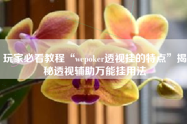 玩家必看教程“wepoker透视挂的特点”揭秘透视辅助万能挂用法