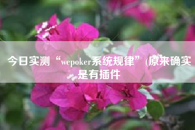 今日实测“wepoker系统规律	”(原来确实是有插件