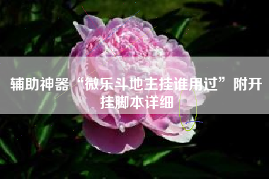 辅助神器“微乐斗地主挂谁用过	”附开挂脚本详细