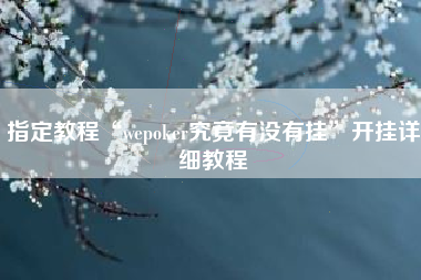 指定教程“wepoker究竟有没有挂”开挂详细教程