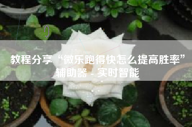 教程分享“微乐跑得快怎么提高胜率	”辅助器 - 实时智能