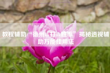 教程辅助“德州kk打ak胜率”揭秘透视辅助万能挂用法