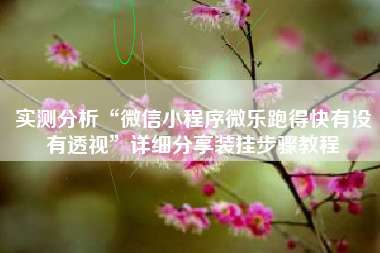 实测分析“微信小程序微乐跑得快有没有透视”详细分享装挂步骤教程