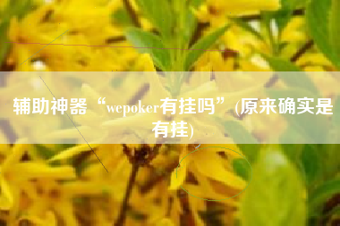 辅助神器“wepoker有挂吗	”(原来确实是有挂)