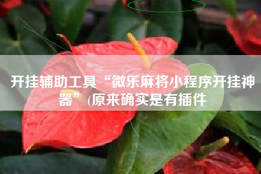 开挂辅助工具“微乐麻将小程序开挂神器	”(原来确实是有插件