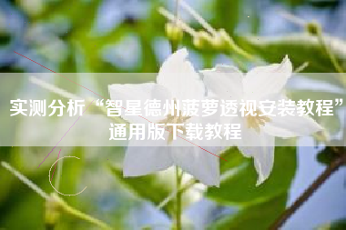 实测分析“智星德州菠萝透视安装教程”通用版下载教程