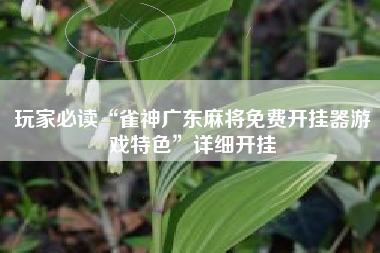 玩家必读“雀神广东麻将免费开挂器游戏特色”详细开挂
