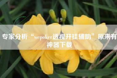 专家分析“wepoker透视开挂辅助	”原来有神器下载