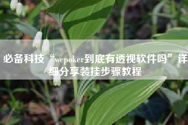 必备科技“wepoker到底有透视软件吗	”详细分享装挂步骤教程