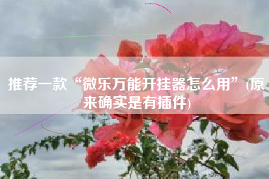 推荐一款“微乐万能开挂器怎么用	”(原来确实是有插件)