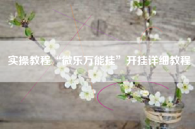 实操教程“微乐万能挂”开挂详细教程