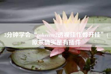 3分钟学会“pokerrrr2透视挂作弊开挂”(原来确实是有插件