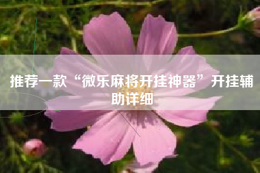 推荐一款“微乐麻将开挂神器”开挂辅助详细