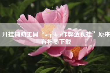 开挂辅助工具“wepoker作弊透视挂	”原来有神器下载